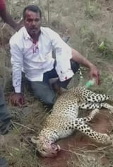 indian-man-kills-leopard-bare-handed-after-animal-attacks-v0-ub8cwnhyj3cf1