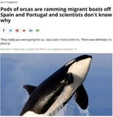 TheyProtect
