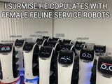 domestic robots