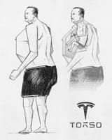 torso