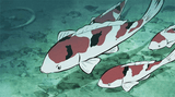 anime-gif-anime