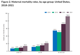 mortality