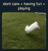 bunny dont care playing