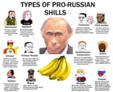 puccian shills