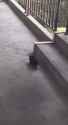 VID_20231012_195035_899_thumb.jpg