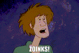 zoinks