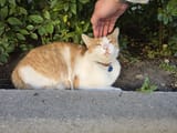 IMG_20250711_151258_276