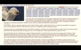 Ivermectin cures sodomy