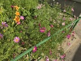 IMG_20250711_181346_107