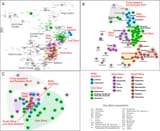 PLOS_3