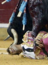 padilla-cogida