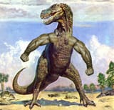 dino flex