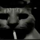 SMOKED-4x