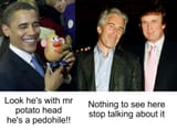 pedo evidence