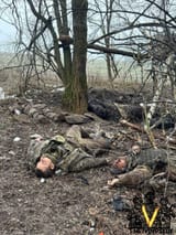 IMG_20241228_094436_827