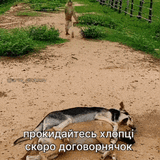 ezgif-45940288e9a6a4