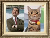 beancat