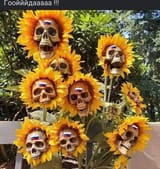 Gvj5d2vXoAE3l8l
