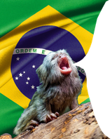 1731268307272648