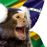 1731269751027452