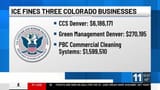 ice fines