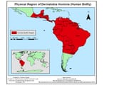 Dermatobia_Hominis_(Human_Botfly)_Region