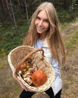 trad_mushroom_picking_virgin