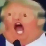 potatus