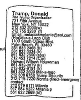 trump-epstein