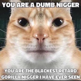 1648241512751