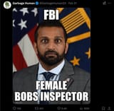 fbi_female_bobs_inspector
