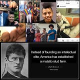 mulatto-stud-farm