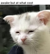1675435614688717