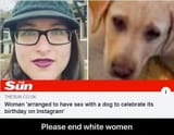 dog