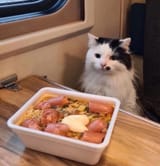 1701117140938398