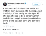 women-choice-career-mother-slut-AOC