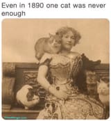 1890-cats-
