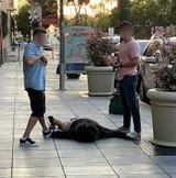 7-26-21- Off-Duty USBP Agent Stops Knife-Wielding Suspect