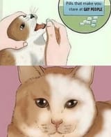 1656698753039