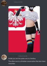 Polish nationalism - two poles (femboy+christian conservative)