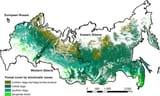 Russian_Forest