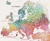 Distribution Of European Races Across Europe