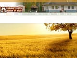 romanian-pioneer-museum