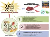 Overview of the effect of natural products on reduction of potential carcinogenic substances in meat products HCA