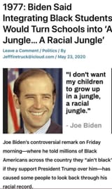 Racial Jungle