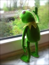 Kermit-Sad