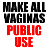 AllVagsPublicUse