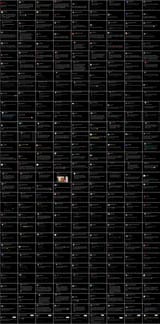 Blm_Montage-1
