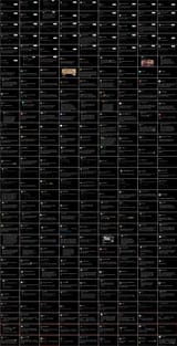 Blm_Montage-2