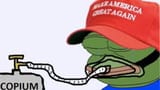 1752350600553424